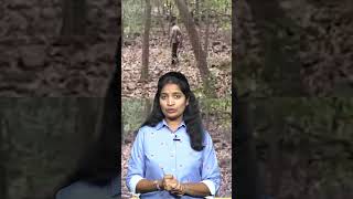 తోటలో బొమ్మలు.. | Kakinada Jahnavi Missing Case Latest Updates | #VanaraNews
