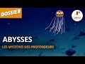 Abysses  les mystres des profondeurs  dossier 17  lesprit sorcier