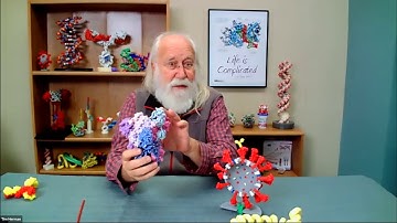 Coronavirus: Science is the Answer