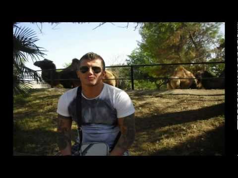Pricu - Eu si tovarasii
