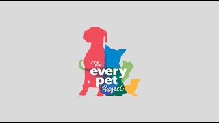 The Every Pet Project- Virbac Gives Back by Virbac US 87 views 7 months ago 1 minute, 45 seconds
