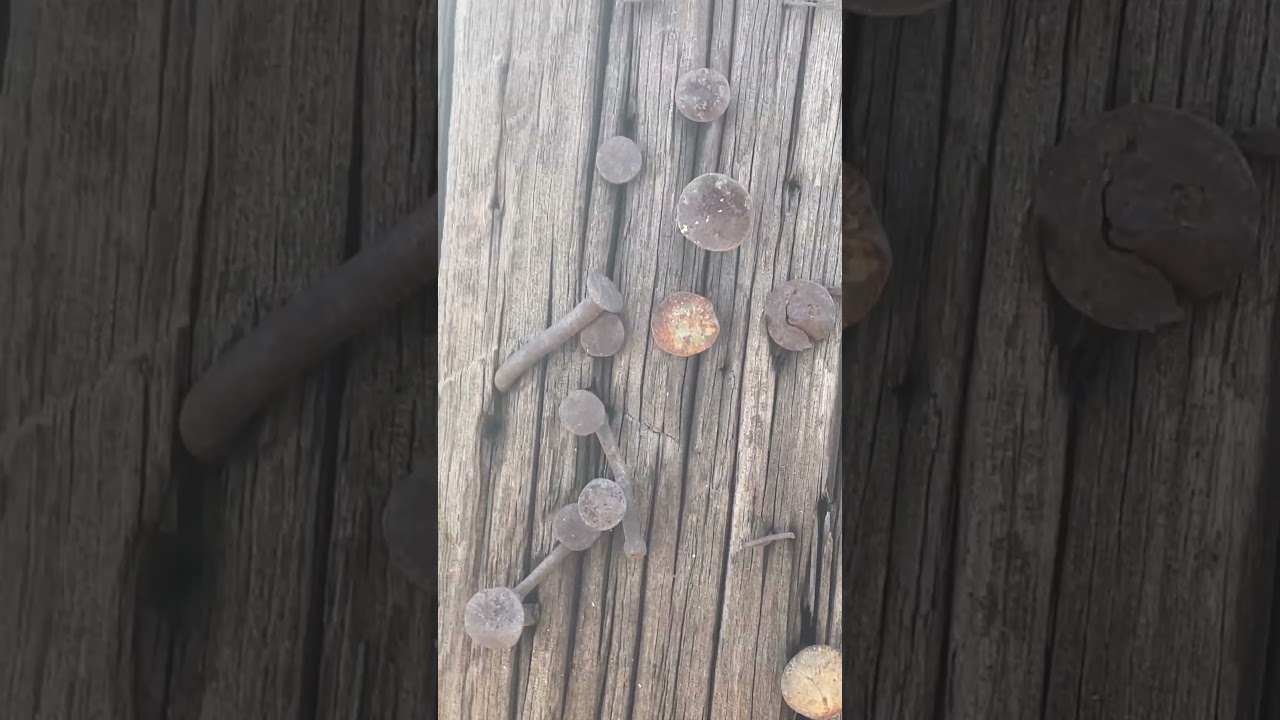 They Spread The Word