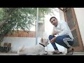 Dog training#🐕#video#share#viral#subscribe#contact#7988150626