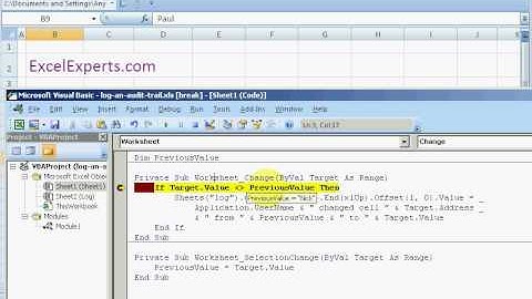 ExcelExperts.com - VBA Tips - Log An Audit Trail
