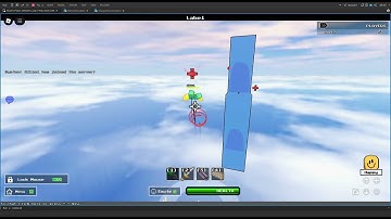 Newbie - Homing Attack Testing