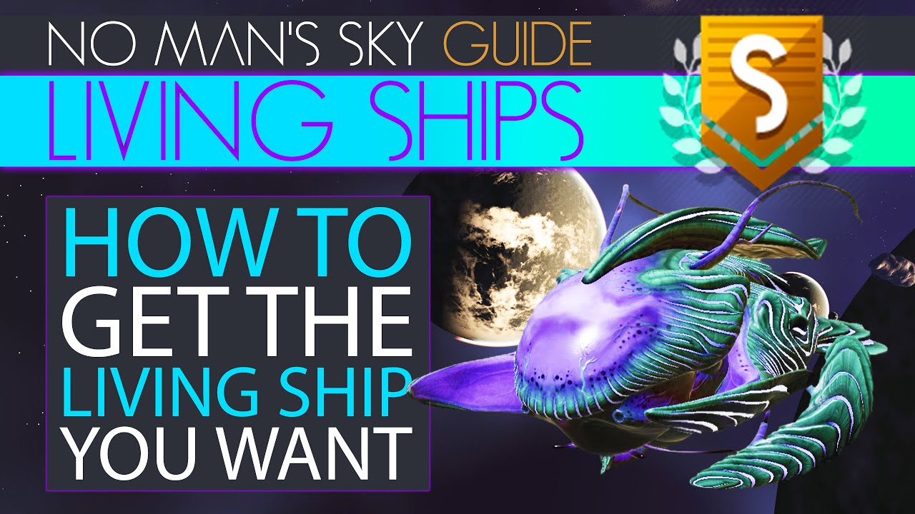 No Man's Sky Living Ship Locations ARE Consistent & Here's How It Works