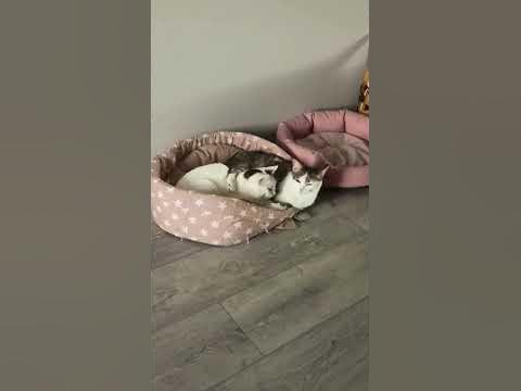 закинула ногу на мать - YouTube