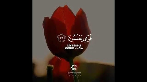قران كريم بصوت القارئ طارق محمد حالات واتس اب♥♥
