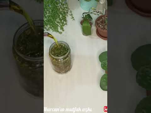 evde doğal Kantaron