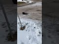 Aerotropper warm up