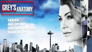 Grey's Anatomy Soundtrack S14