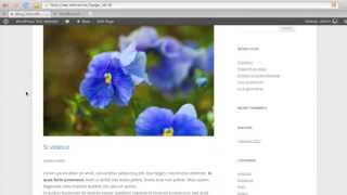 Demo of The Inject Plugin