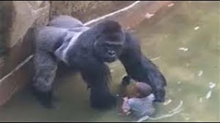Unbelievable Animals That Saved Peoples Lives
