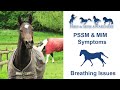 PSSM &amp; MIM Symptoms- Breathing Issues