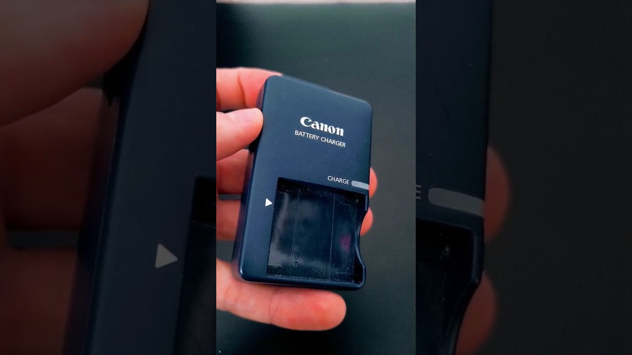 Curious About a Canon Battery Charger? Let's Look Inside!