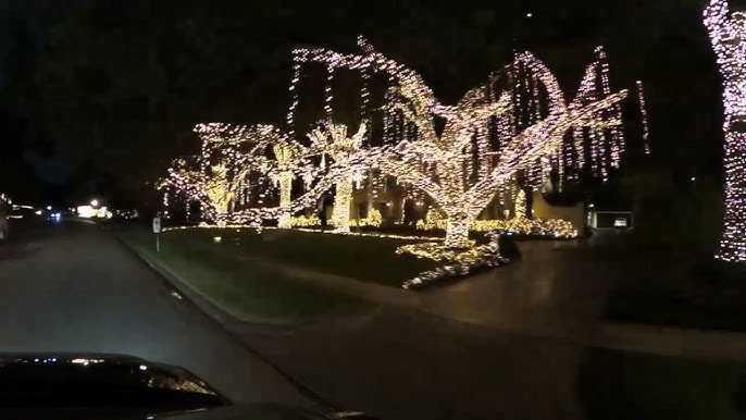 Houston Zoo Lights