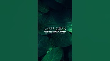 ﴿سورة مريم﴾#قران_كريم #المصحف #عبدالرحمن_مسعد