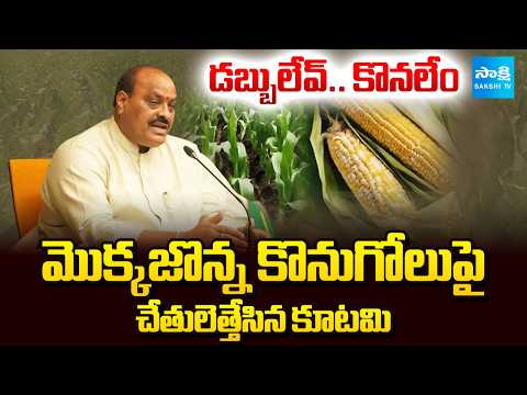 డబ్బులేవ్.. కొనలేం | Chandrababu Fails to Maize Crop Procurement | AP Farmers | Sakshi TV - SAKSHITV