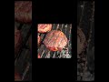 Just a quick dinner this weeknight! #bbqmeat #backyardbbq #pitboss #food