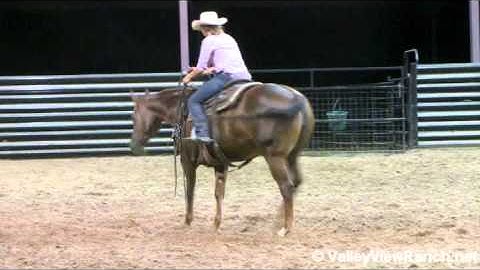 Too PeppyForMyShoes - SHORT VIDEO ***For info, price, etc., go to our website***  Valley View Ranch