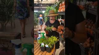 Unique and Unusual Herb Plants with Sarah Smith