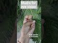 #mudrasbenefits #mudratherapy #yogatips #satvic #healthylife #mudra