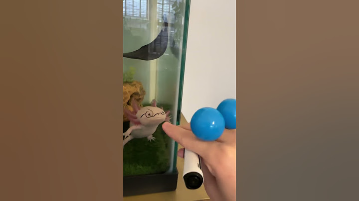 AXOLOTL PRANK 😁