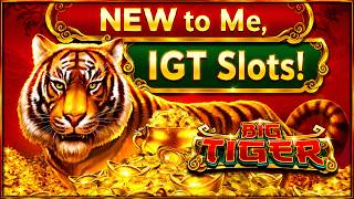 Dreams of Big Money and Big Tiger slots - NEW to Me IGT Live Play and Bonuses