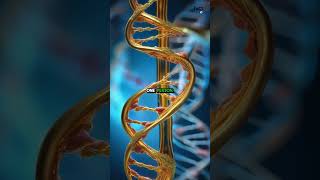 Are You Still Partly Bacterial? The Alien DNA Inside You Right Now