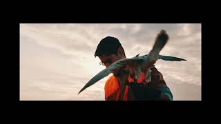 Falconry experience
