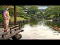 Koi Pond Veranda Stillness • Geisha in Quiet Reflection • Zen Ambient Calm