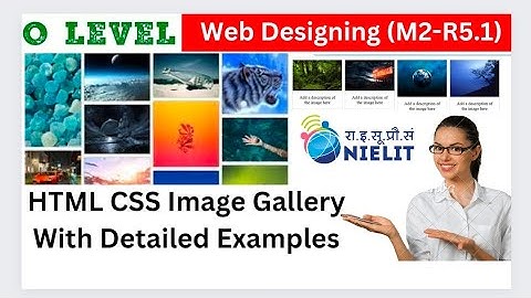O Level Web Design and Publishing | CSS Image Gallery With Detailed Examples | O Level (M2-R5.1)