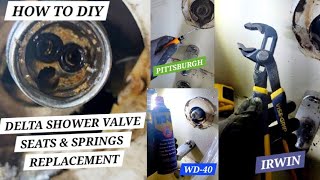 DELTA SHOWER VALVE SEATS & SPRINGS How to DIY Replacement #DIY #Plumbing #Delta #howto #Irwin #wd40