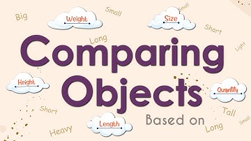 Comparing Objects