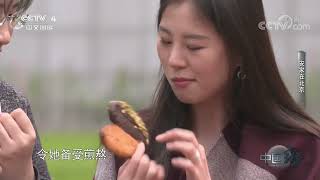《中国缘》 20221204 安家在北京|CCTV中文国际