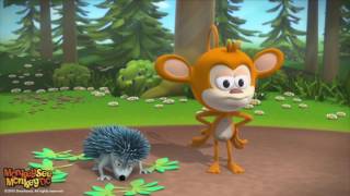 Monkey See Monkey Do Hedgehog Dance Net Worth