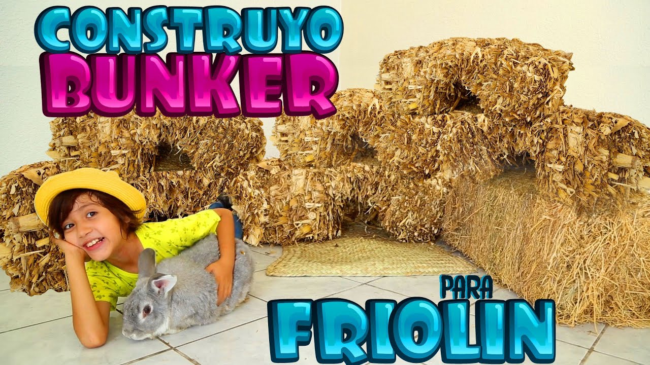 CONSTRUYO BUNKER comestible para mi Mascota Friolin