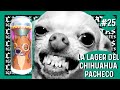 LA CERVEZA DEL CHIHUAHUA MARIGUANO - No Mames Mexican Lager - Catas Ignorantes