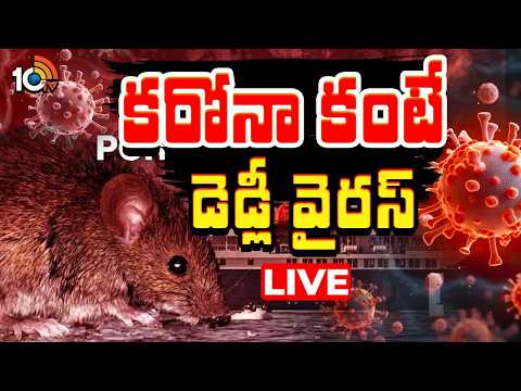 LIVE : అట్లాంటిక్‌ నౌకలో మరణ మృదంగం | Special Focus On Deadly Virus | 10TV - 10TVNEWSTELUGU