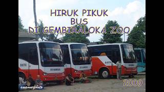 Tri Sumber Urip, Raya, OBL dalam Hiruk Pikuk Bus di Gembira Loka Zoo, Yogya (2009)