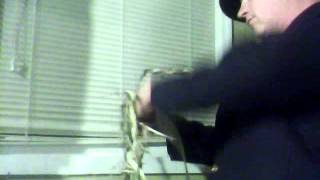 Capture 20121124 4