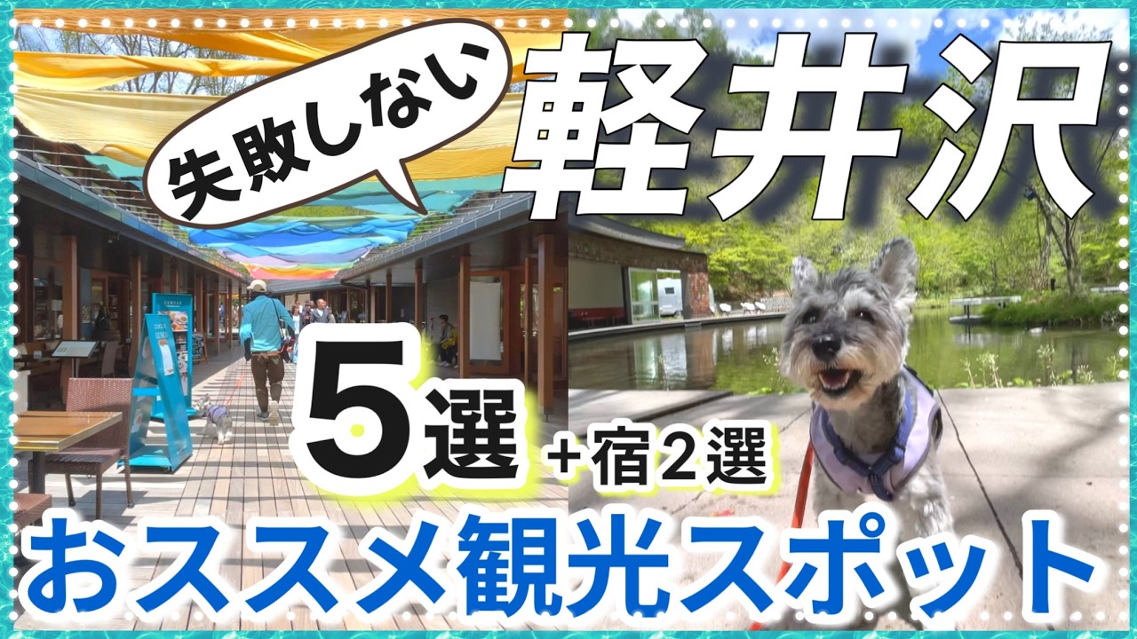 【愛犬と軽井沢旅行】2泊3日モデルコース｜おすすめ観光スポット＆愛犬と泊まれる宿をご紹介！