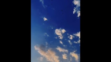 من الآية ٤٤ إلى الآية ٤٧ من سورة إبراهيم بصوت القارئ عبد الرحمن مسعد