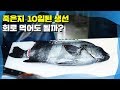 숙성회 장인의 비법을 전수받았습니다.(Feat.🧀)