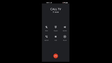 OnePlus 9 Incoming Call (Screen)