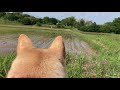 夏の終わり
