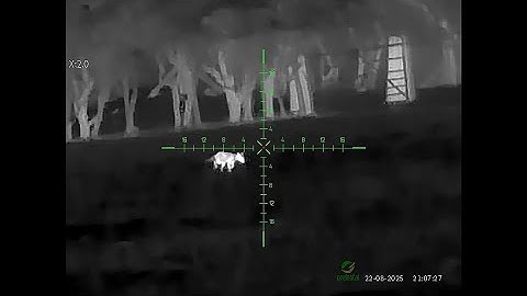 Hunting With MT1000LRF Thermal Scope!