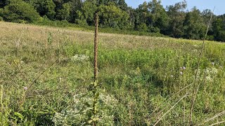Welcome to the New Homestead! A Quick Walk-around and Getting Stuff Done