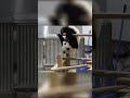 前回りが上手な子パンダ #shorts #パンダ #楓浜 #panda
