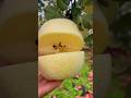 Cut fresh fruit 🍎🍐🍇🍒🍓|#satisfying#viralvideo#garden#fruit#trending#viral